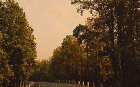 �������a���Į��I(y��)����