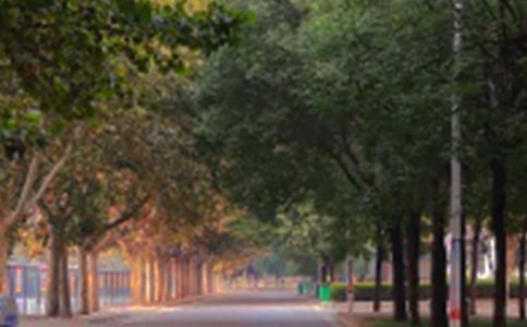 �������a���ϵ�ɢ��