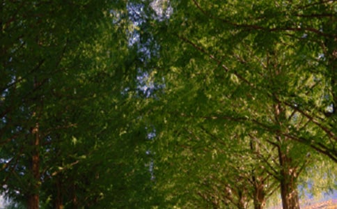 ���a���ϵ�ЦС�W����400��