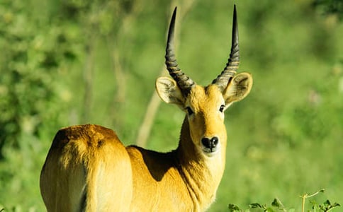 ����ľ����x���⼰��