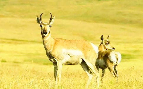 ���������f�n��