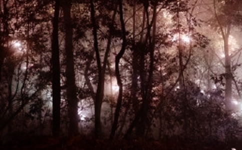 �賿���c����������ӛ����