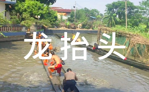 ���¶���̧�^���ʳ����