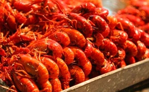 釣龍蝦作文【大全15篇】