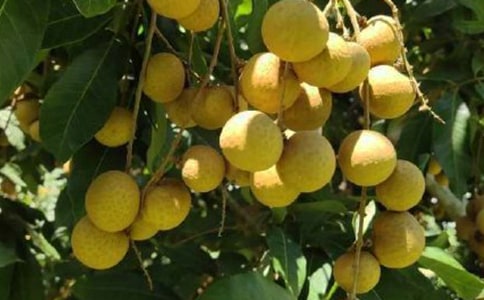 ���l(xi��ng)����������500��