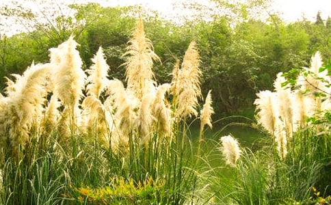 ���JȔ�c�ˡ���x��