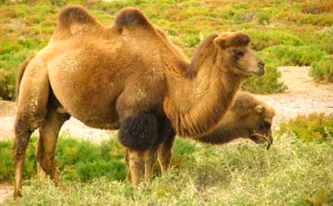 ��������f�n��3ƪ