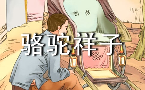 初二駱駝祥子讀書(shū)心得