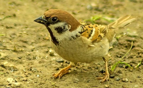 ��ȸ��x�𰸅���