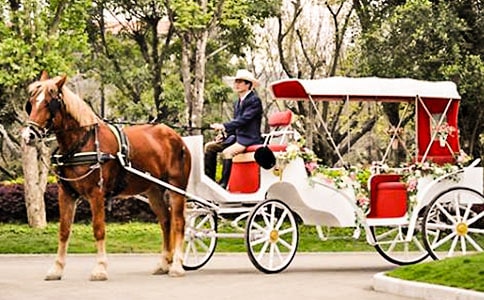 �yɫ���R܇�����ρ��̰�����˼