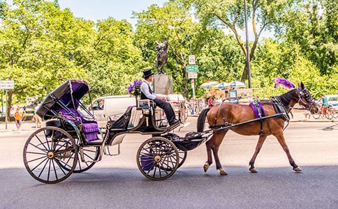 �r�g��С�R܇�̌W��˼����