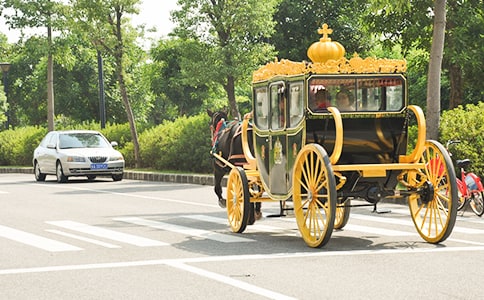 寫拉馬車的馬作文(通用10篇)