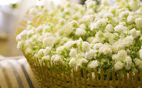 �҂������˝M�����ǵ���������