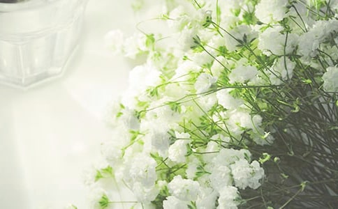 (優選)滿天星作文