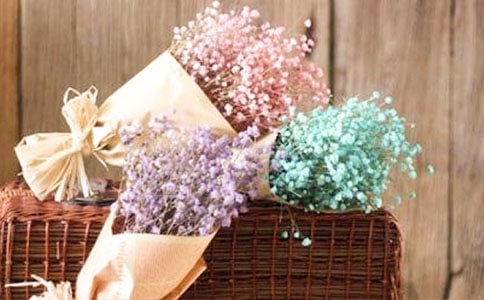 �x���M���Ƕ����и�