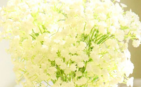 ���ҝM���Ƕ�Ԋ��