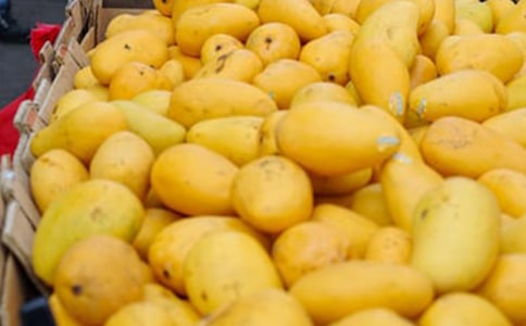 ���l(xi��ng)��â�����ģ����x18ƪ��