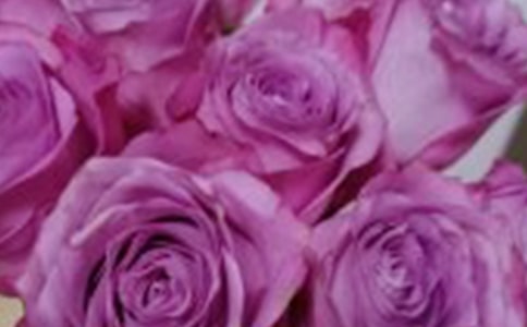 �n�ġ�С¹��õ�廨���Ľ̌W(xu��)��˼