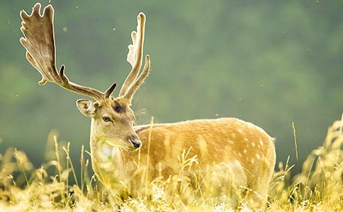 �P��÷��¹�����꼉���ķ��ģ����x7ƪ��