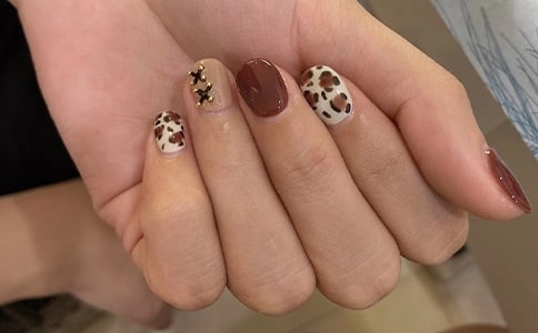 �����׳���һ�µ��f�f200��