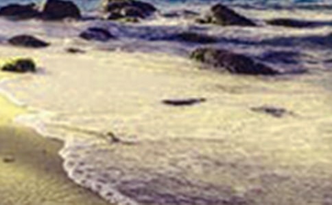 ����ʡ���������~