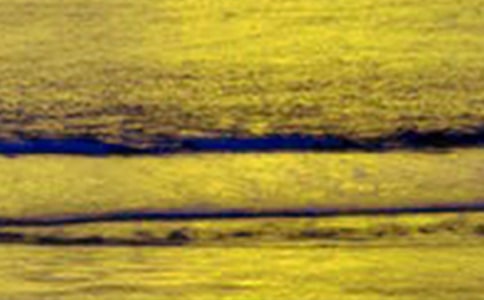 �������ӽ����ȫ