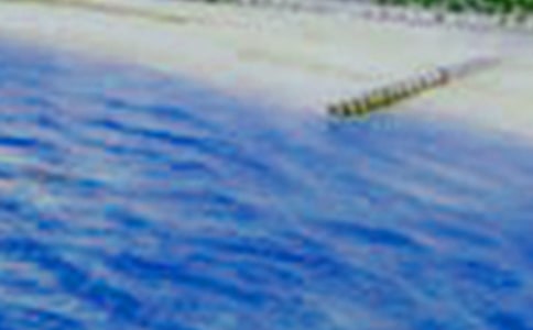 �茑��Ȼ�����Ľ���Ԋ�䣨���x155�䣩