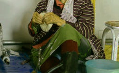 �ɹ�����衶���衷�̰���ͨ��8ƪ��