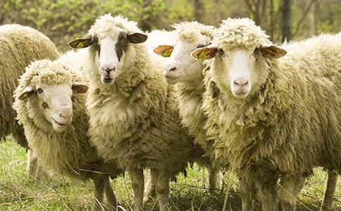 ����ľd���x��У����x16ƪ��