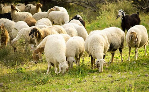 С�d�������x���⼰��