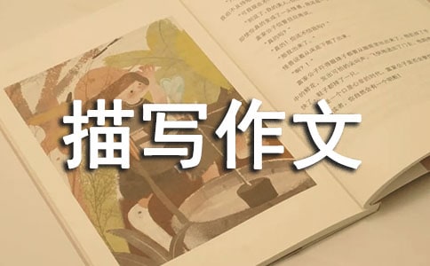 ����Ƭ���茑����3ƪ