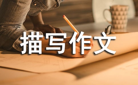 �����]������Ƭ���茑������ƪ