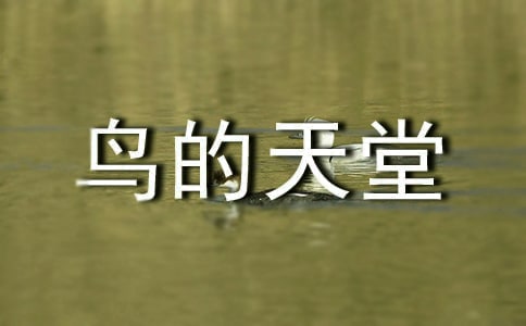 《鳥(niǎo)的天堂》教學(xué)心得體會(huì)(精選23篇)
