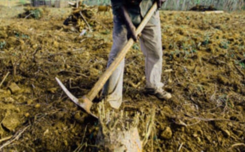 ���r������x��