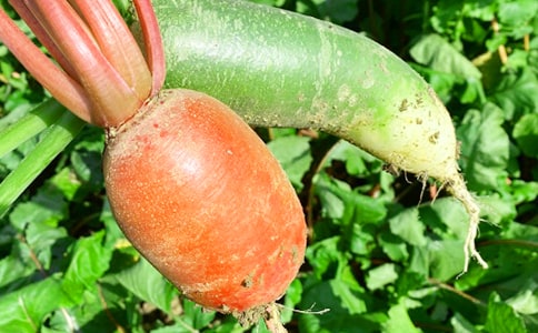 �r�Ҙ�������ӛ