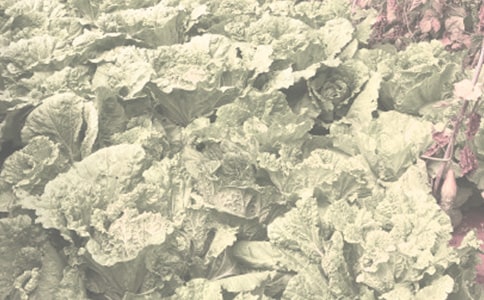 �r����N�Ӳ�ُ��ͬ4ƪ