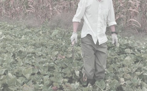 �����l���r����̰�