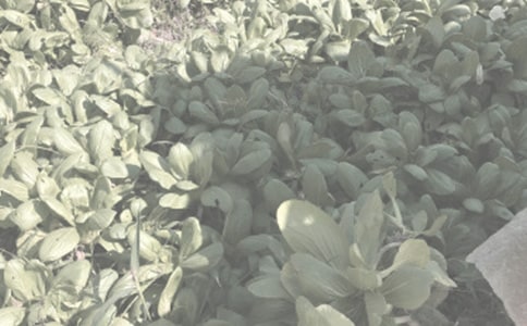 �r����ُ�N��ͬ��(5ƪ)