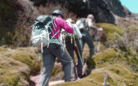 �P����ɽ������(ͨ��11ƪ)