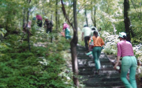 ��ɽ�Ć�ʾ���ģ���Ʒ��