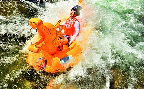 ������Ư������