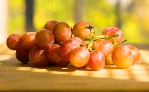 �����T�������f����������ƪ