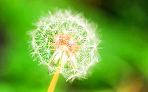 �ѹ�Ӣ�����L�������S����ӛ