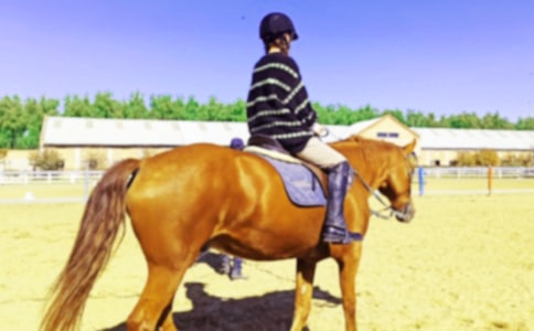 �T�R�ă�������15ƪ