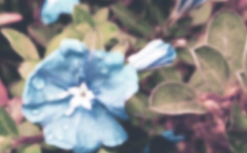 ��ţ���F������x��