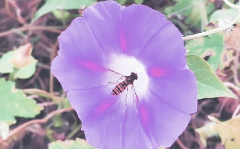 ��� �ţ���^�������ӛ