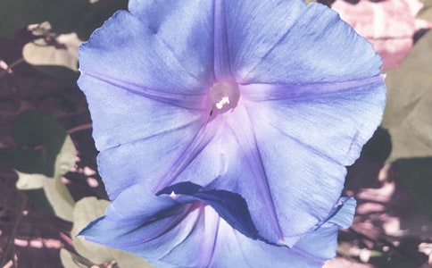 һ�꠿ţ��Ԋ��