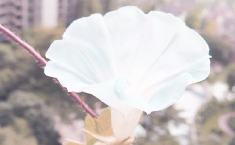 ���Ґ۠���������x������