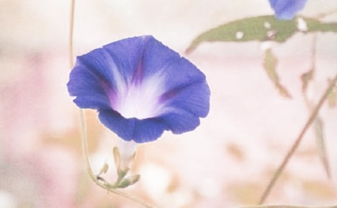 ��ţ����x�������𰸣����x9ƪ��