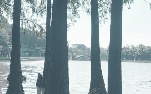 ������ǧ�������ģ����x24ƪ��